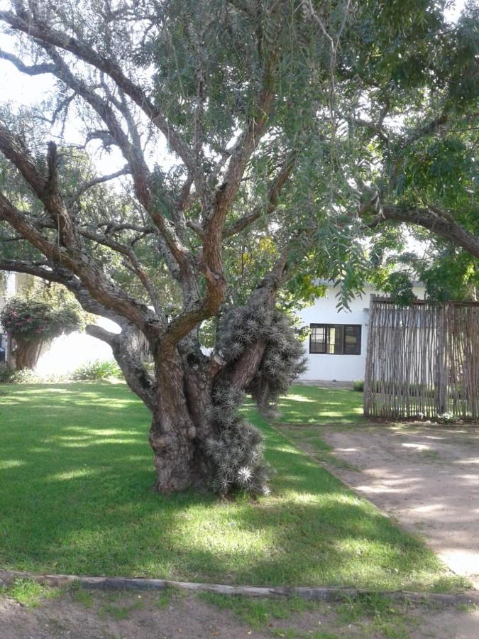 Woodpecker Apartment Plettenberg Bay Exterior photo